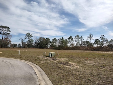 6400 SW 180 Cir unit Lot 29, Dunnellon, FL 34432 - photo 4