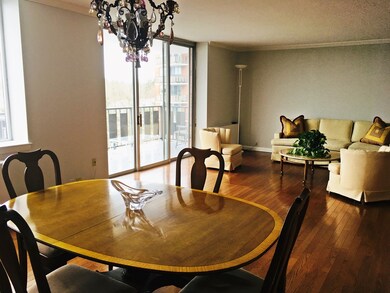 Imperial Towers unit 715, Chestnut Hill, MA 02467 - photo 4