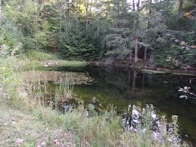 0 Fenn Way Cir unit 48, Bath, NH 03740 - photo 7