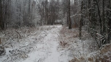 Lot 17 overgrown driveway