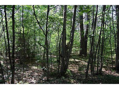 00 Elden Rd, Buxton, ME 04093 - photo 5