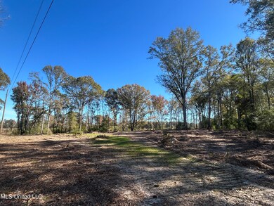 No Warren Cook Rd, Mendenhall, MS 39114 - photo 4