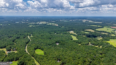 1070 Cedar Grove Dr, Buckhead, GA 30625 - photo 5