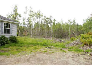 Yard/Garden.