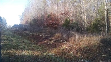 9.76 acres Mt Zion Church Rd, Alexis, NC 28006 - photo 3