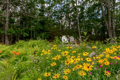 Old Stage_Hill_05