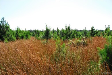 6801 (not Assigned) Grand Brooks Rd, Livingston, VA 22551 - photo 5