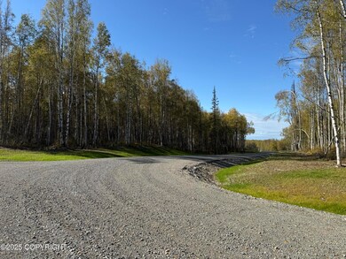 21387 E Quarah Lake Ave, Talkeetna, AK 99676 - photo 5