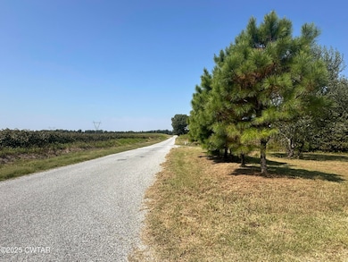 1144 Pumping Station Rd, Stanton, TN 38069 - photo 4