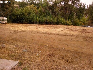 239 S Canyon City Rd E, Canyon City, OR 97820 - photo 3