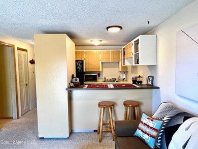 Bar Into Kitchen