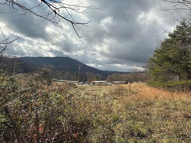 113 Verna Ln, Narrows, VA 24124 - photo 4