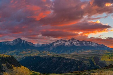Wilsons at Sunset