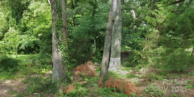 0 Buick Ave, Kannapolis, NC 28083 - photo 4