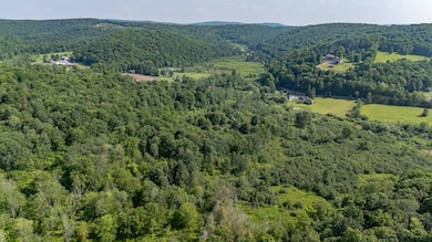 0 Cummiskey Rd, New Albany, PA 18833 - photo 6