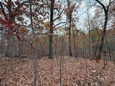 2400 Irish Ridge Rd, Philo, OH 43771 - photo 6