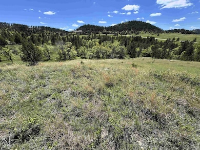 E2 Soaring Eagle Rd, Hulett, WY 82720 - photo 4