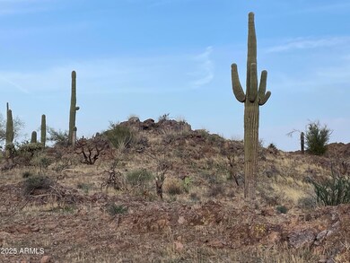 009 N Elephant Butte Rd unit J, Queen Valley, AZ 85118 - photo 3