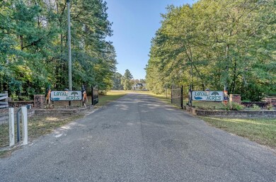 149 Hidden Hills Rd, Cross, SC 29436 - photo 4