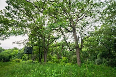 545 E Tarters Ferry Rd, Ipava, IL 61441 - photo 7