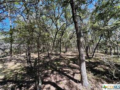 131 Thousand Oaks Loop Rd unit B, San Marcos, TX 78666 - photo 6