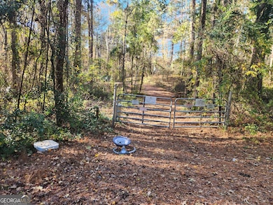 2633 Brannan Rd, Snellville, GA 30039 - photo 5