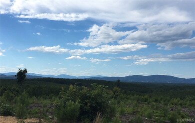 000 Martin Kings Rd, Charlottesville, VA 22902 - photo 4