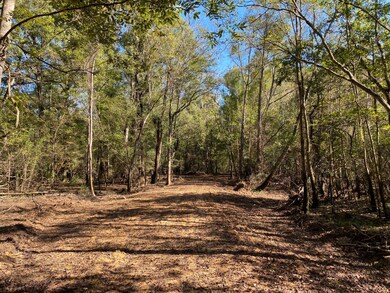 0 Reynolds Rd, Tensaw, AL 36579 - photo 6