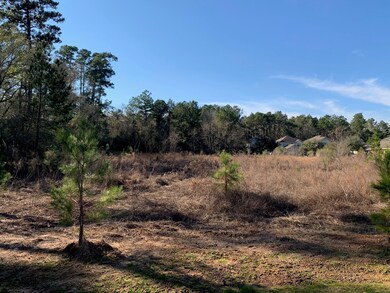 33169 Wedgewood Dr, Magnolia, TX 77354 - photo 4