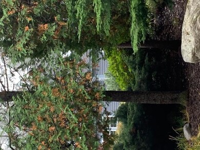 home photo 3