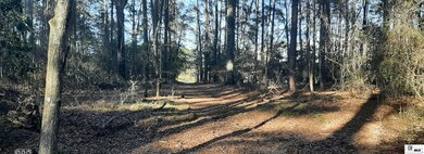 000 W Alabama Ave, Ruston, LA 71270 - photo 5