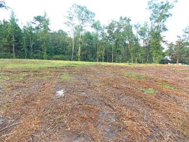 Lots 4-5 Cedar Ridge Rd, McComb, MS 39648 - photo 7