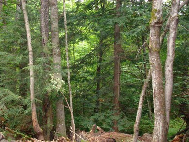 0 Chapel Hill Rd unit 58-49 4715081, Whitingham, VT 05361 - photo 5