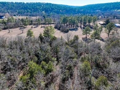 0000 E Greasy Bend Rd, Stringtown, OK 74569 - photo 4