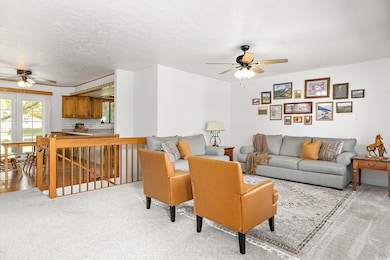 245 S Main St, Mona, UT 84645 - photo 4