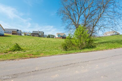 2119KingViewLoop-6
