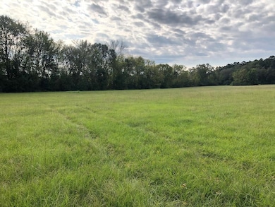 81.15 ac U S 59, Nacogdoches, TX 75965 - photo 7