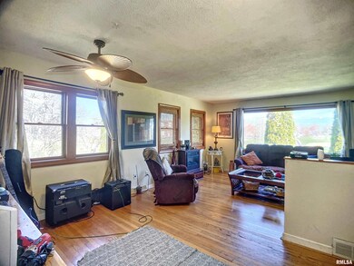 1039 W 10th St, Davenport, IA 52804 - photo 4