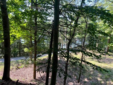 Lot 3 toward Lake Michigan