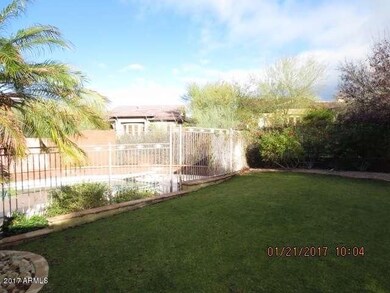Backyard (2)