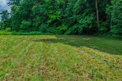 00 Dyer Hollow Rd 5