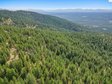 NNA Usfs 2550 (40 Acres), Blanchard, ID 83804 - photo 4