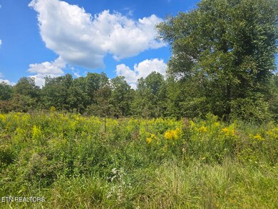 0 Us Highway 27, Sunbright, TN 37872 - photo 4