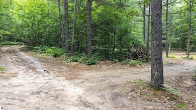 Parcel F Vans Ln, Fife Lake, MI 49633 - photo 5
