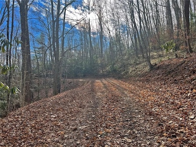 999 Juniper Rd, Clyde, NC 28721 - photo 6