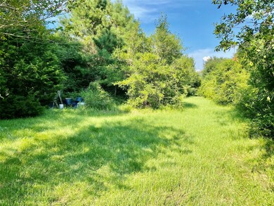 20242 Kickapoo Rd, Waller, TX 77484 - photo 4