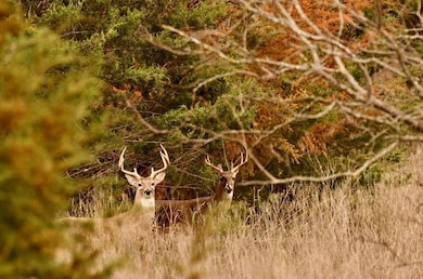 0 New Windsor Pkwy unit 25551308, McGregor, TX 76657 - photo 7