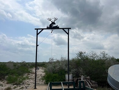 Fm 3196, Rosita, TX 78384 - photo 7