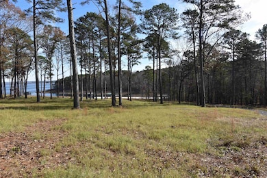 Tract 8 Sunnyside of the Bay, Fairfield Bay, AR 72088 - photo 2