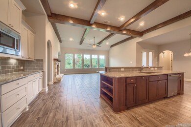 24122 Mateo Ridge, San Antonio, TX 78261 - photo 5